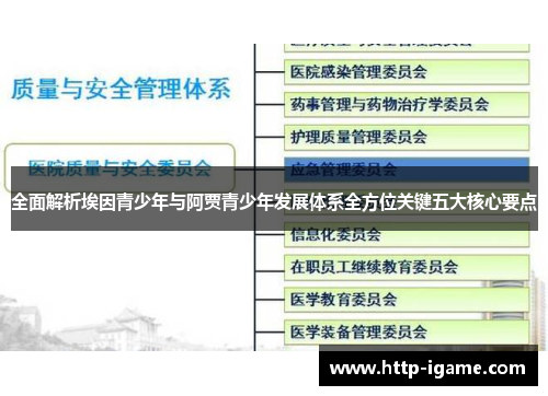 全面解析埃因青少年与阿贾青少年发展体系全方位关键五大核心要点 全面解析埃因青少年与阿贾青少年发展体系全方位关键五大核心要点