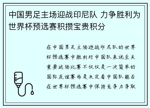 中国男足主场迎战印尼队 力争胜利为世界杯预选赛积攒宝贵积分